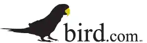 Bird Black Friday
